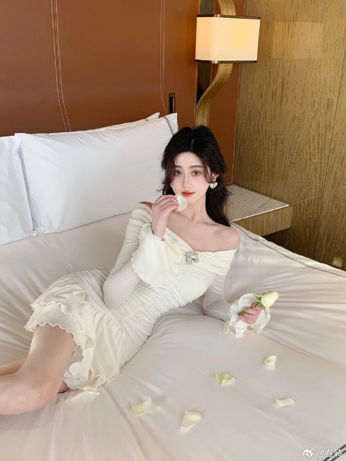 借东西的小人阿莉埃蒂 封面