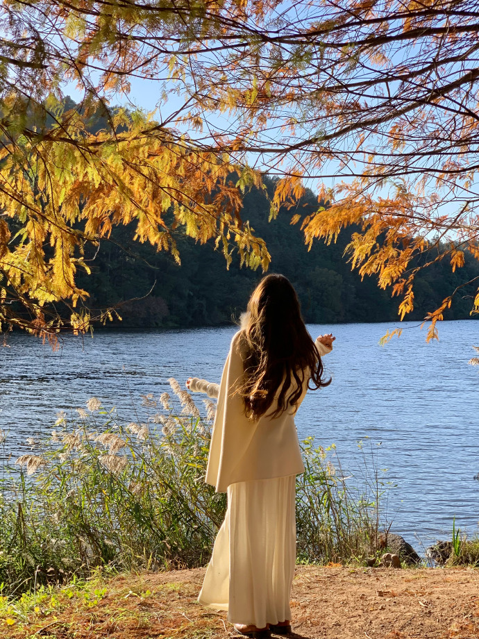 闪电侠 封面