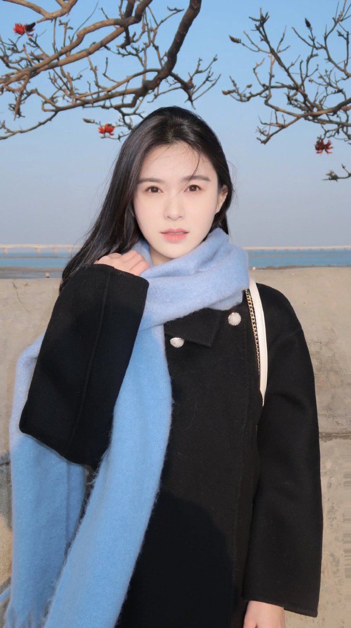 蝴蝶梦 封面