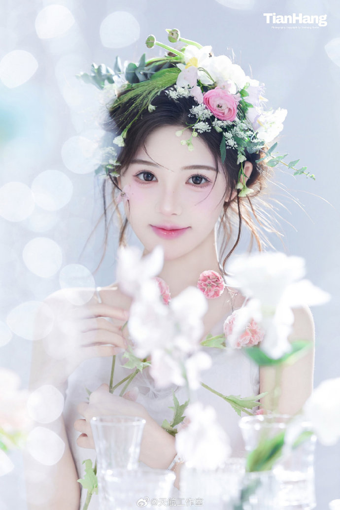 莲花楼 封面