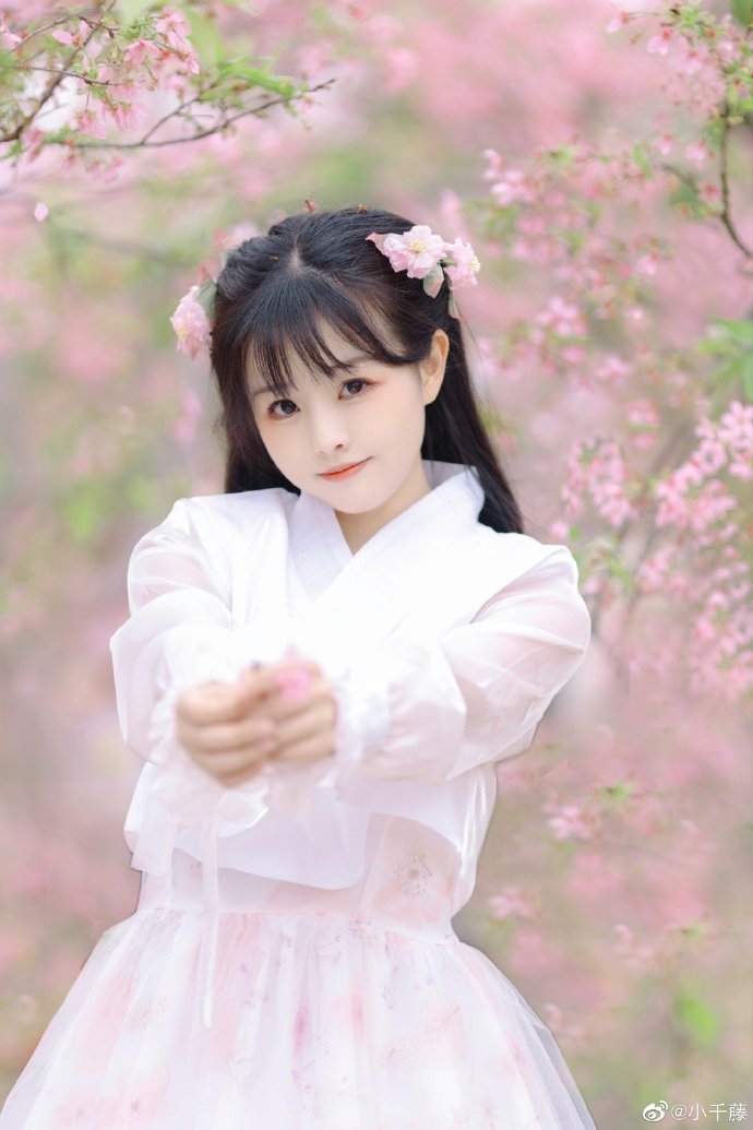 梦华录 封面
